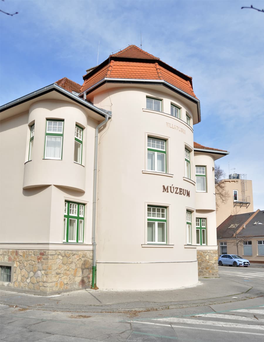 Vila Dr. Lisku 5